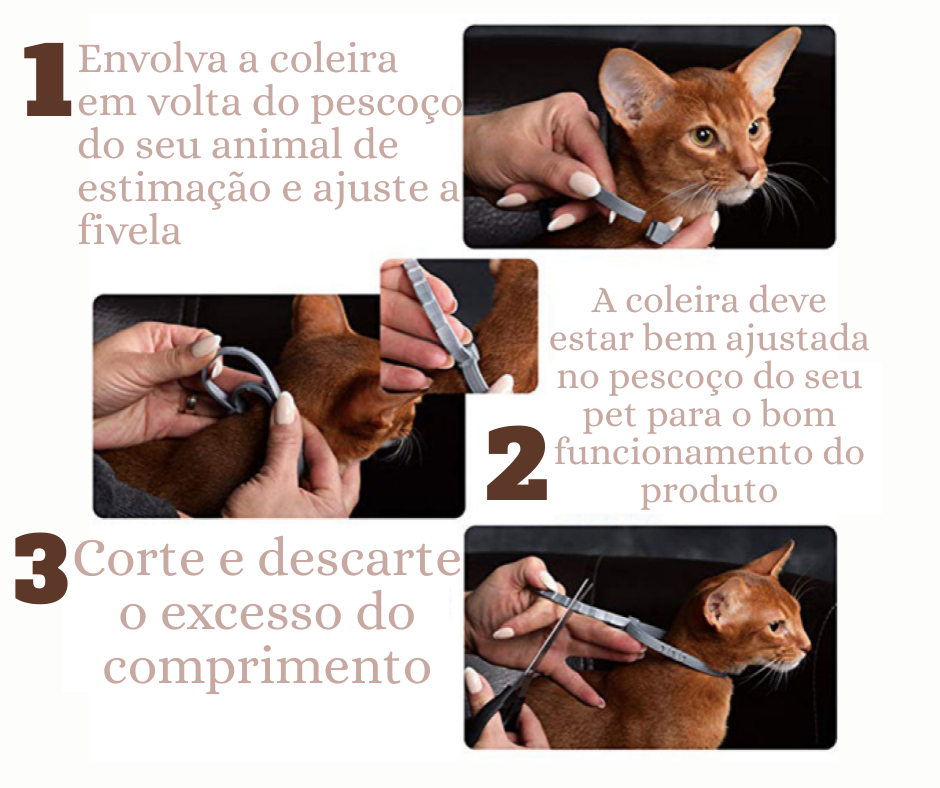 Coleira/colar antipulgas e carrapatos para cães e gatos